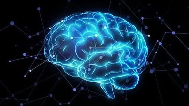 大腦的兩套決策系統：習慣與理性的拉鋸戰